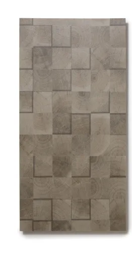 Vista 13 de Lucida Surfaces Azulejos de vinilo de lujo para piso Suelo adhesivo para pegar 18 tablones de aspecto texturizado Bloques de madera de fibra