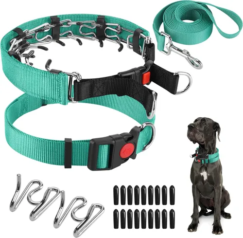 Vista 26 de Collar de entrenamiento de puntas con puntas cómodas y hebilla de cierre rápido – Collar de pellizco para perro con cubierta de nailon