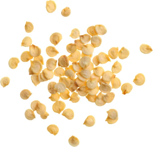 Vista 6 de Seed Needs Semillas de pimiento picante para plantar chiles serranos, semillas de vegetales sin OMG y sin tratar para plantar un jardín vegetal