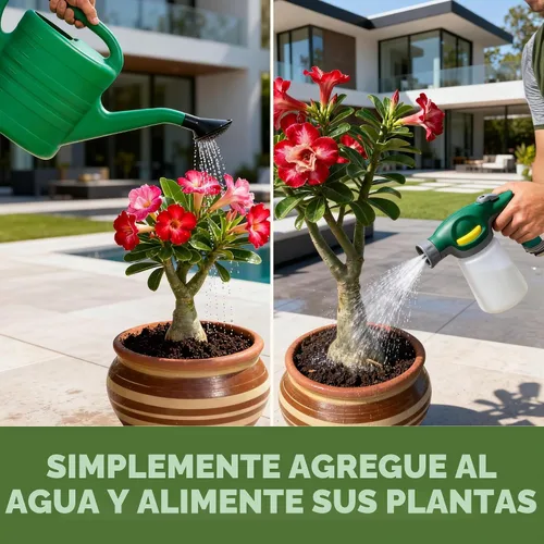 Vista 6 de Fertilizante de rosa del desierto, alimento líquido para plantas para más