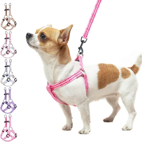 Vista 11 de BEAUTYZOO Juego de arnés y correa para perro, arnés ajustable para cachorros, chaleco de nailon suave a prueba de escapes con doble anillo en D