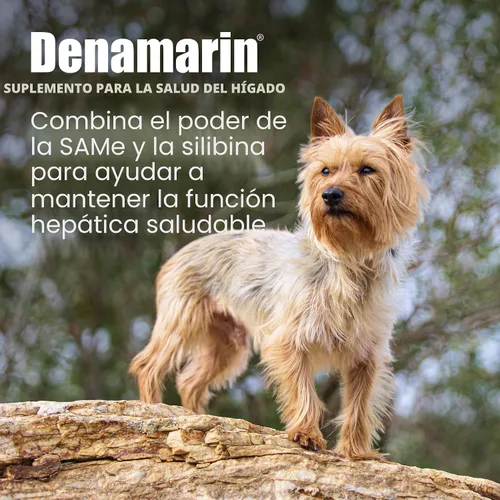 Vista 2 de Nutramax Laboratories Denamarin Suplemento de salud hepática para perros pequeños y gatos - Con S-adenosilmetionina (SAMe) y silibina, 30 tabletas