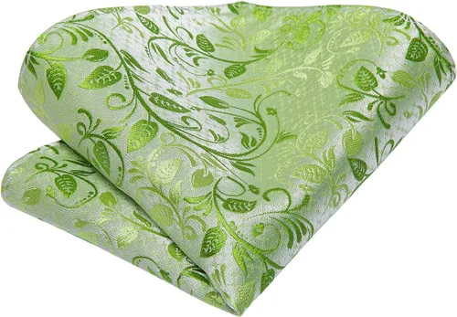 Vista 249 de Hi-Tie Corbatas de seda para hombre, diseño de cachemira a rayas, con bolsillo, gemelos cuadrados, conjunto formal de negocios