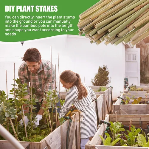 Vista 7 de Suclain Juego de 30 estacas de bambú para plantas trepadoras, estacas de bambú resistentes para tomates, frijoles, flores y plantas en maceta