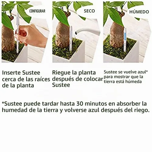 Vista 2 de Sustee Aquameter, juego de 4, sensor de humedad del suelo para plantas, (verde, pequeño)
