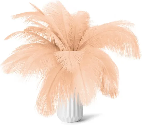 Vista 20 de Kit de plumas de avestruz natural en masa color beige de 15-17 pulgadas (38-43 cm), 80 piezas. Los kits contienen plumas de 8-10 pulgadas y palos