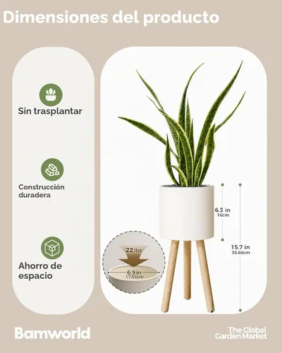 Vista 3 de Bamworld - Soporte para plantas de interior para plantas