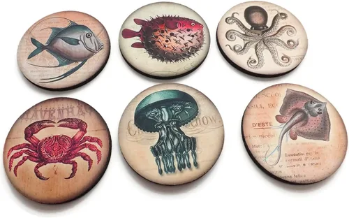 Vista 3 de Ocean Creatures - Juego de 4 o 6 posavasos de 3.5 pulgadas náuticos de peces marinos, pulpo, mantarraya, medusas