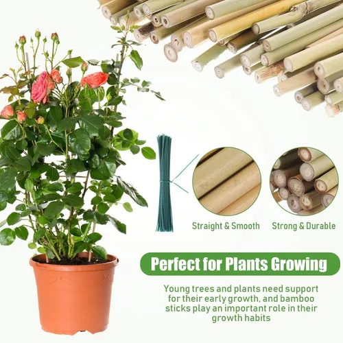 Vista 3 de Suclain Juego de 30 estacas de bambú para plantas trepadoras, estacas de bambú resistentes para tomates, frijoles, flores y plantas en maceta