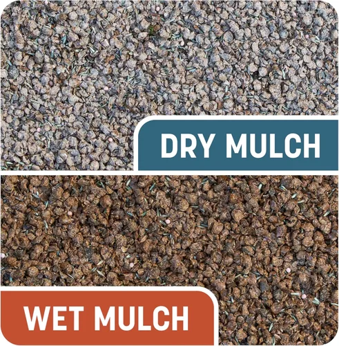Vista 12 de Pennington Smart Patch mezcla de semillas de Bermuda para parches, 5 libras