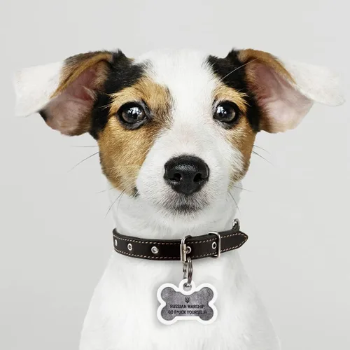 Vista 5 de Placa de identificación de perro con código QR, placa de identificación de mascota silenciosa grabada con perfil en línea