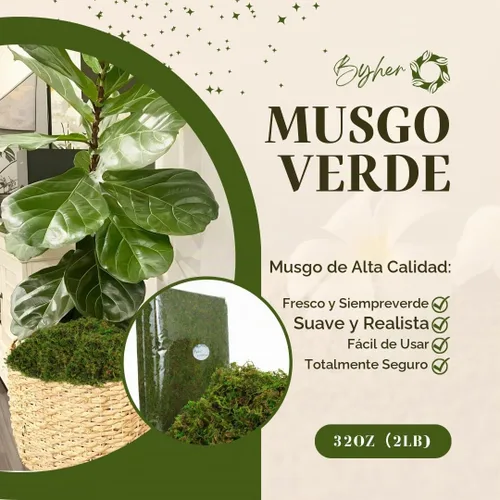 Vista 5 de Musgo artificial verde de 35 onzas (2.18 libras) para manualidades de interior, jardines de hadas, centros de mesa, decoración de boda