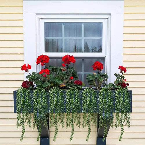 Vista 4 de 1 planta artificial de plástico para colgar suculentas, cadena de perlas, plantas artificiales para colgar en la pared, vegetación de vid