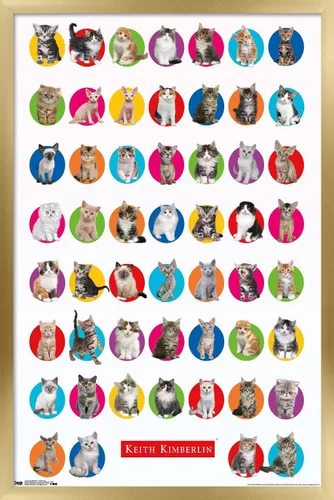 Vista 18 de Trends International Keith Kimberlin - Póster de pared de cuadrícula de gatito, 14.725 x 22.375 pulgadas, versión enmarcada de madera de granero