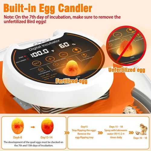 Vista 6 de Incubadora de huevos de codorniz con girador automático y control de humedad, incubadora de aves capaz de incubar 40 huevos de codorniz, incubadoras