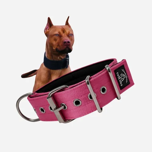 Vista 14 de SparkDog - Collar acolchado para perro, 2 pulgadas de ancho, nailon de 4 capas, correas para cinturón de seguridad, accesorios de acero inoxidable