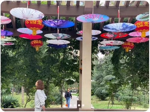 Vista 6 de Sombrilla aceitada hecha a mano de 33 pulgadas de seda de bambú, arte chino japonés, paraguas de baile clásico, flor de ciruelo para bodas