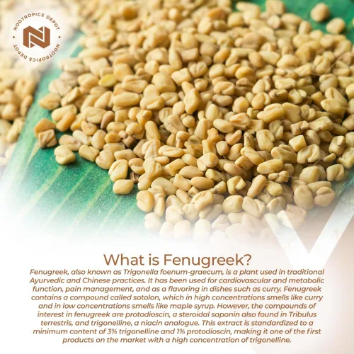 Vista 3 de Nootropics Depot Cápsulas de extracto de fenogreco 500 mg 60 ct 3% de trigonelina, 1% de protodioscina Trigonella foenum-graecum Estado