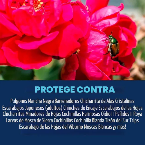 Vista 2 de BioAdvanced Fertilizante todo en uno para el cuidado de rosas y flores, concentrado, 32 onzas
