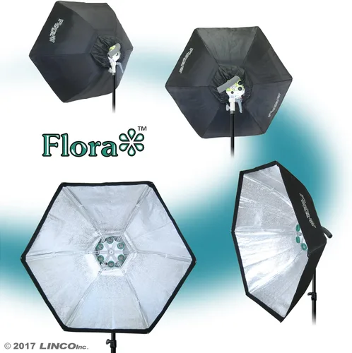 Vista 8 de LINCO Lincostore Flora LED 1860 * 2 luces de fotografía súper brillantes para fotografía, película y estudio de video iluminación AM161- Cena