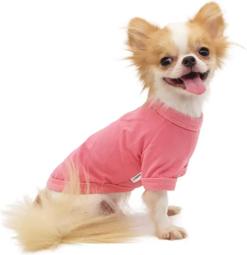 Vista 13 de LOPHIPETS Camiseta de perro 100% algodón para perros pequeños Taza de té Chihuahua Yorkie Ropa para cachorros - Azul/XXS