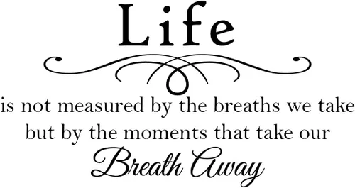 Vista 24 de Newclew Vinilo decorativo para pared con texto en inglés «Live Every Moment, Laugh Every Day», «Love Beyond Words»