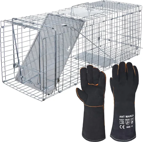 Vista 2 de ANT MARCH Trampa de jaula de animales vivos de 32 x 11.5 x 13 pulgadas, puerta de hierro de liberación humana para conejos, gatos callejeros