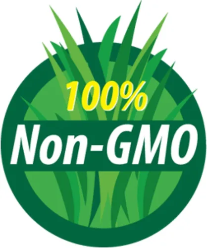 Vista 4 de Semillas de soja – Paquete de 1.06 oz ~ 175 semillas – Orgánicas, sin OMG – brotes germinantes, tofu, almacenamiento de alimentos, cultivo y huerto