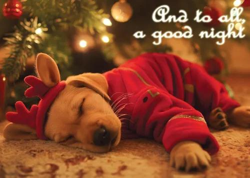 Vista 20 de Glory To Dog And To All A Good Night Sleepy Beagle Puppy - Juego de 12 tarjetas y sobres de Navidad
