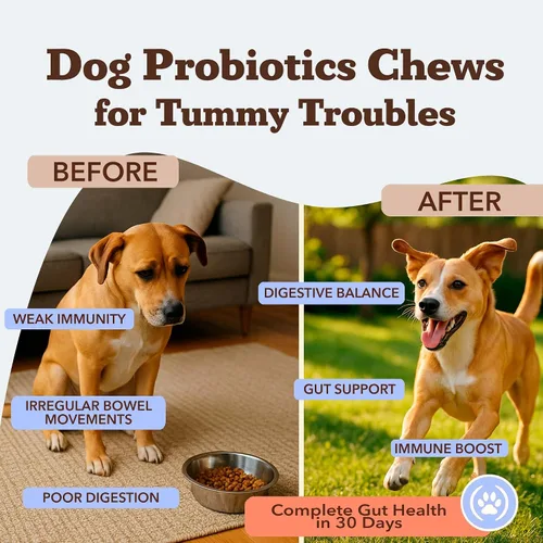 Vista 2 de Natural Dog Company Probióticos para perros: masticables probióticos para perros con UFC 1B, cepas microencapsuladas específicas caninas