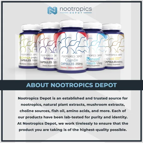Vista 3 de Nootropics Depot Tabletas de quercetina 500 mg 60 unidades 95% de quercetina anhidra