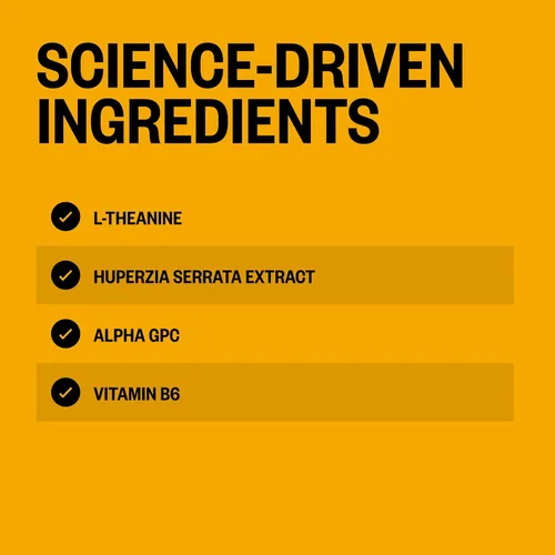 Vista 7 de ONNIT Alpha Brain - Mezcla de bebida instantánea de apoyo cognitivo, sabor a limonada de mora, suplemento nootrópico para concentración, memoria