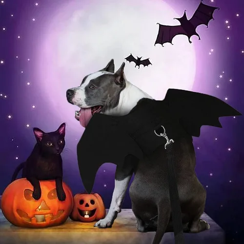 Vista 5 de Alas de murciélago para perros, disfraces de Halloween para perros y gatos Negro