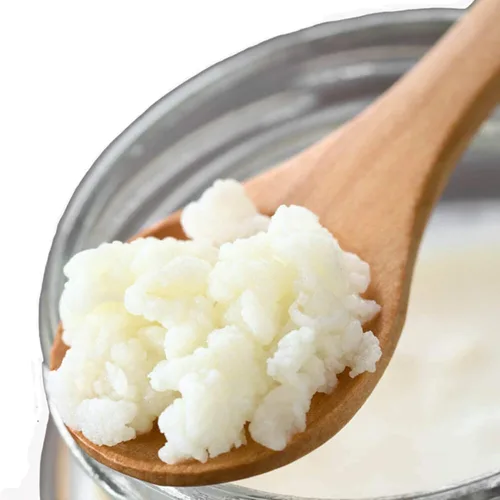 Vista 6 de Kéfir, granos de kéfir de leche, granos iniciadores de kéfir de leche, bebida probiótica fermentada DIY, funciona con leche entera, leche