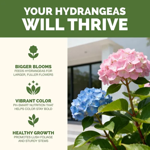 Vista 2 de Fertilizante de hortensias: alimento líquido para plantas para flores más grandes, color rico de flores y desarrollo de raíces más fuerte, 8 onzas