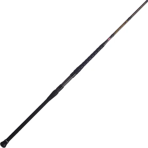 Vista 14 de Penn Escuadrón IV Surf Spinning Rod