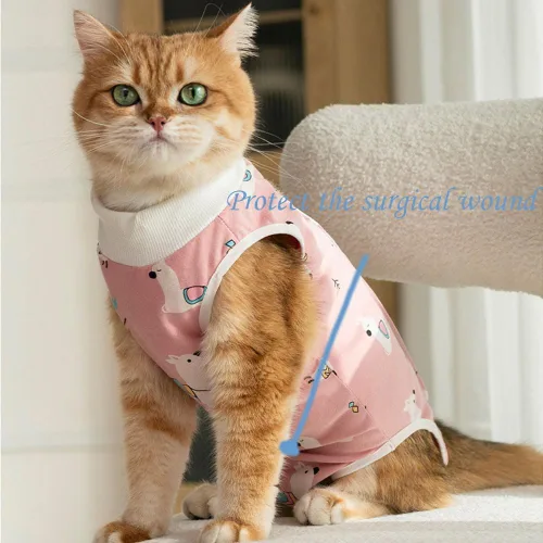 Vista 4 de Traje de recuperación para gatos, enterizo para gatos después de la cirugía, esterilización quirúrgica, heridas abdominales, enfermedades
