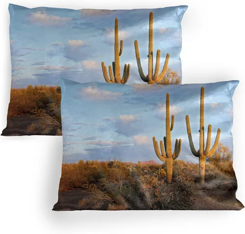 Vista 28 de Lunarable Nature Pillow Sham Set of 2, Sunset in a Winter Park Russia Sun Rays Through Trees Pathway to Forest, Quality Microfiber Bedding Item for