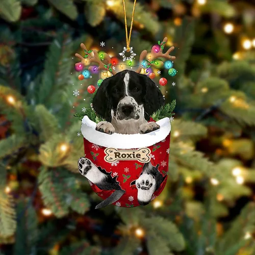 Vista 80 de LOVELYPOD Adorno Personalizado de Perro Affenpinscher, Adornos de Navidad Affenpinscher Regalo para Amante de Perros, Adorno de Navidad Colgante