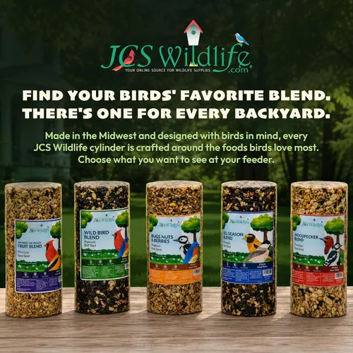 Vista 7 de JCs Wildlife Bugs Nuts and Berries - Cilindro grande de semillas de aves con agujero, cero relleno para comederos exteriores, llaves de pájaros