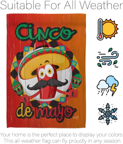 Vista 6 de Amigo Chili Cinco de Mayo Casa de Verano Fiesta Mexicana Cactus Piñata al aire libre Verano Sunny Decoración Banner Pequeño Jardín Patio Regalo