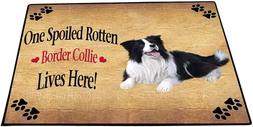 Vista 34 de Doggie of the Day Border Collie Dogs Floor Mat - 4th of July Independence Day - Best Dog Doormat - Protector Decor - Unique Portrait Art - Premium