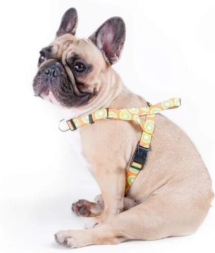 Vista 18 de iChoue Arnés para bulldog francés, ajustable, acolchado, hebilla bloqueada con asa para perros carlino francés, Boston Terrier inglés, azul, talla S