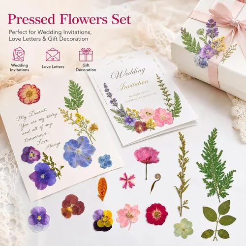 Vista 3 de Pressed Dried Flowers for Crafts, 50 Pcs Real Dried Flowers for Resin Romantic
