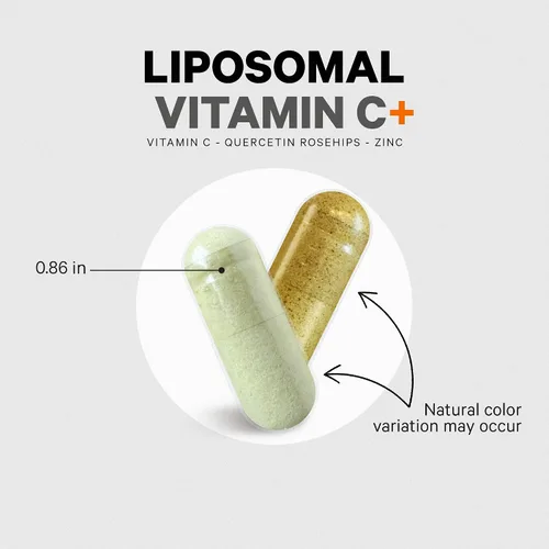 Vista 4 de Codeage - Vitamina C liposomal de 1500 mg con zinc, saúco, bioflavonoides cítricos de pomelo, limón, naranja en polvo, quercetina y escaramujo