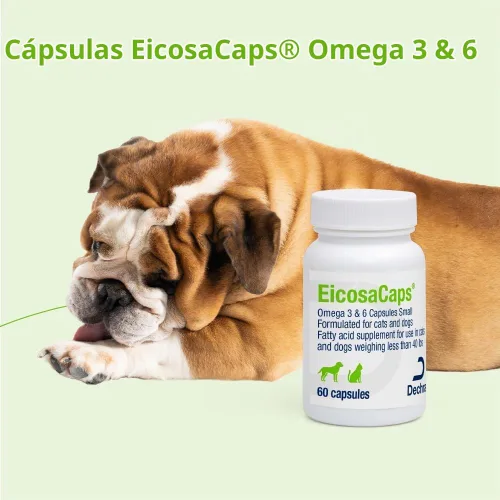 Vista 6 de EicosaCaps Omega 3 y 6 para perros y gatos de menos de 40 libras, 60 cápsulas
