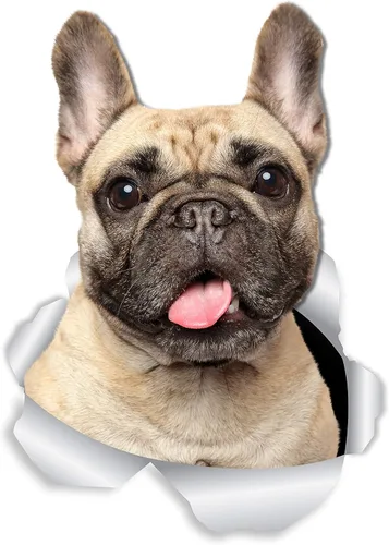 Vista 10 de Winston & Bear Calcomanías 3D para perros, paquete de 2 unidades, calcomanías de bulldog francés blanco y negro para pared, nevera, inodoro y más