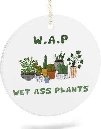 Vista 11 de Adornos de plantas para árbol de Navidad, decoración de Navidad de señora de plantas locas, bonitos y divertidos adornos de cerámica para amantes