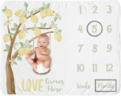 Vista 10 de Sweet Jojo Designs Manta de jardín floral bohemio para niña de flores – recién nacido mensual primer año foto crecimiento infantil regalo regalo