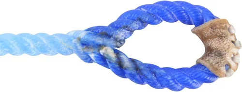 Vista 2 de EquiBrand West Rattler Blue Racer Piggin String S Azul